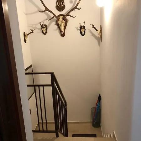 Διαμέρισμα Andrije Krsula 51 Apartman Selce